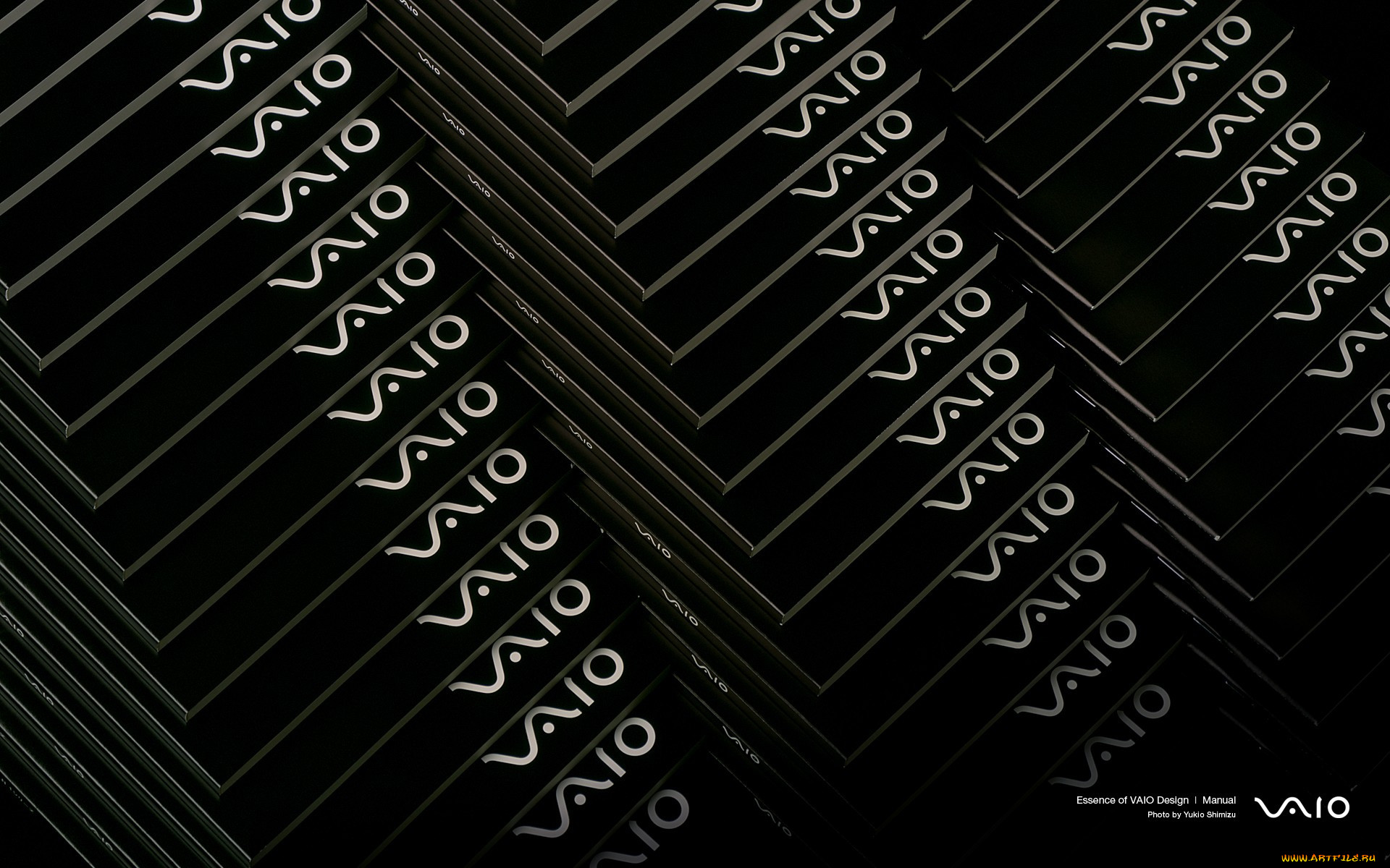 , vaio